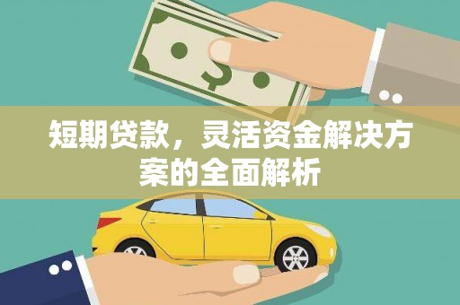 平度短期贷款，灵活资金解决方案的全面解析