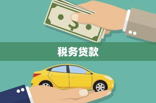 平度税务贷款