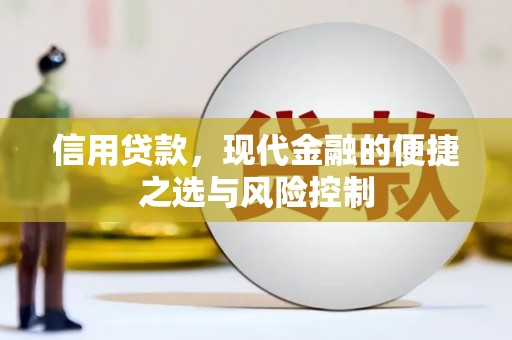 平度信用贷款，现代金融的便捷之选与风险控制