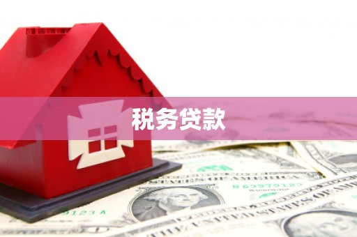 平度税务贷款