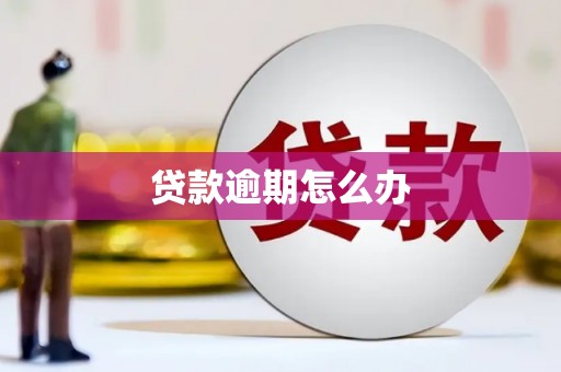 平度贷款逾期怎么办