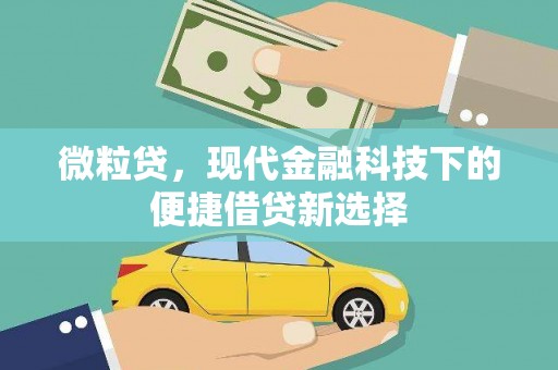 平度微粒贷，现代金融科技下的便捷借贷新选择