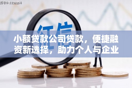 平度小额贷款公司贷款，便捷融资新选择，助力个人与企业成长