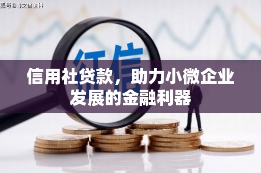 平度信用社贷款，助力小微企业发展的金融利器