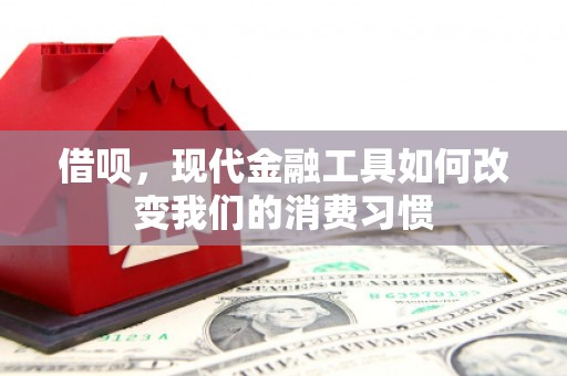 平度借呗，现代金融工具如何改变我们的消费习惯