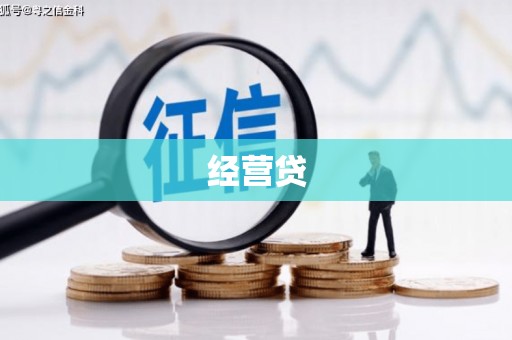 平度经营贷