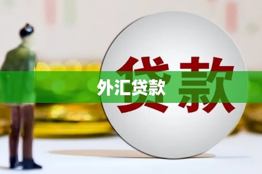 平度外汇贷款