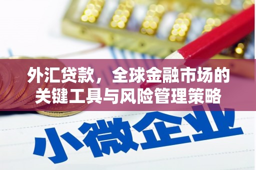 平度外汇贷款，全球金融市场的关键工具与风险管理策略
