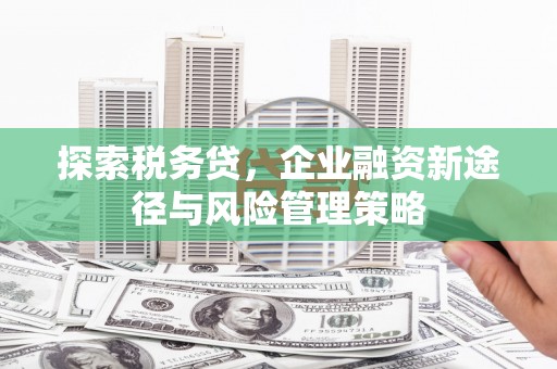 平度探索税务贷，企业融资新途径与风险管理策略