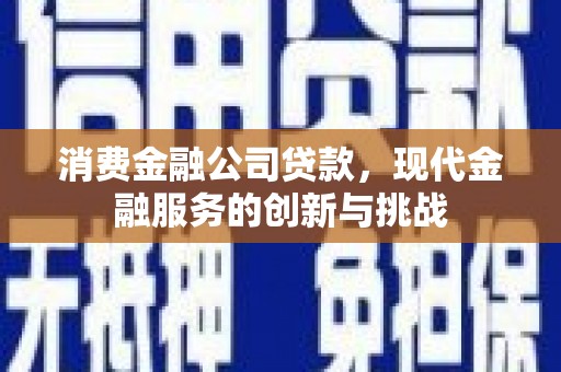 平度消费金融公司贷款，现代金融服务的创新与挑战