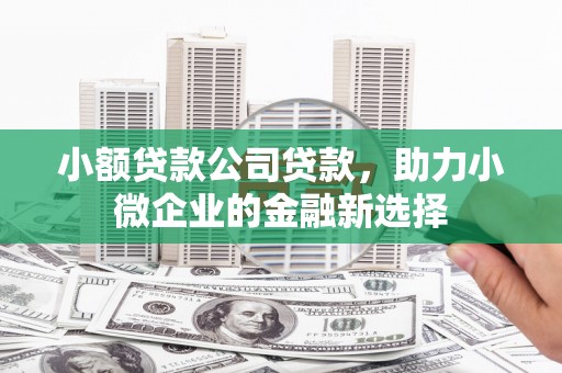 平度小额贷款公司贷款，助力小微企业的金融新选择