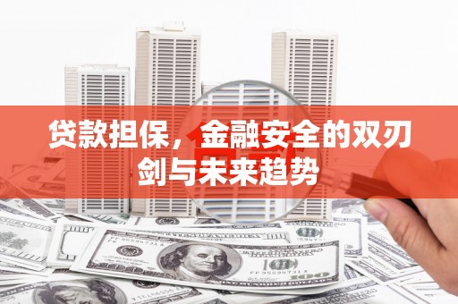 平度贷款担保，金融安全的双刃剑与未来趋势
