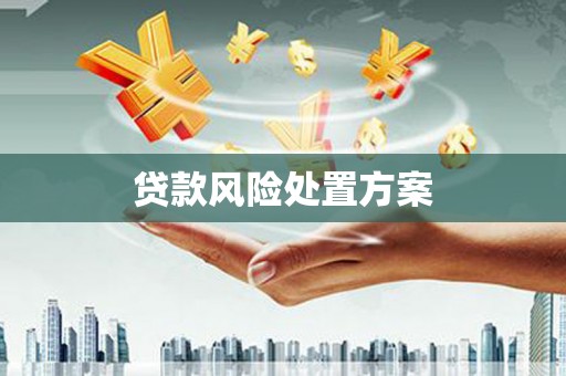 平度贷款风险处置方案