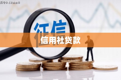 平度信用社贷款