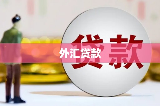 平度外汇贷款