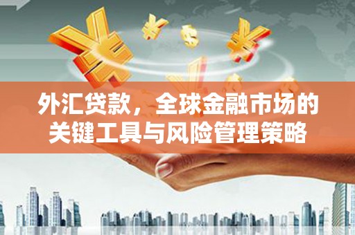 平度外汇贷款，全球金融市场的关键工具与风险管理策略