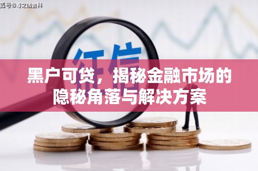 平度黑户可贷，揭秘金融市场的隐秘角落与解决方案