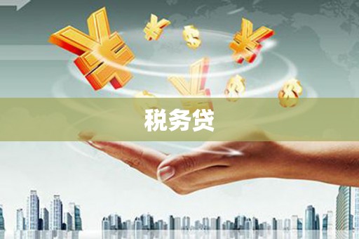 平度税务贷