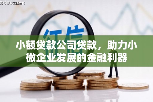 平度小额贷款公司贷款，助力小微企业发展的金融利器