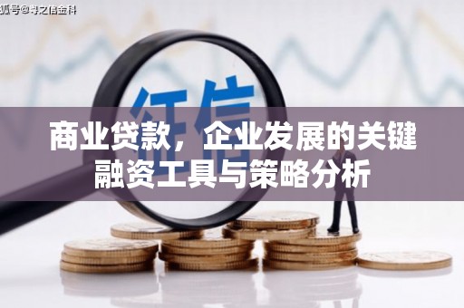 平度商业贷款，企业发展的关键融资工具与策略分析