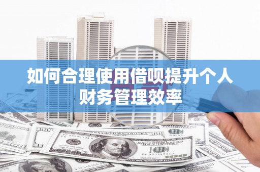 平度如何合理使用借呗提升个人财务管理效率