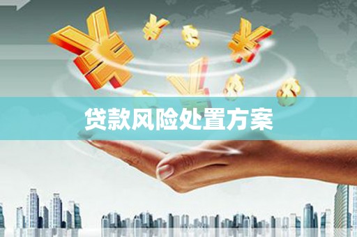平度贷款风险处置方案