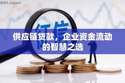 平度供应链贷款，企业资金流动的智慧之选