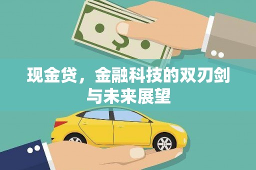 平度现金贷，金融科技的双刃剑与未来展望