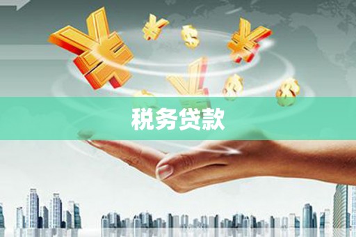 平度税务贷款