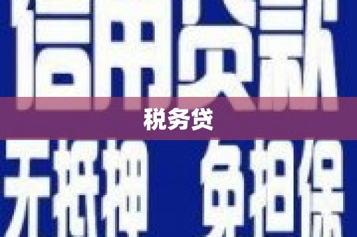平度税务贷
