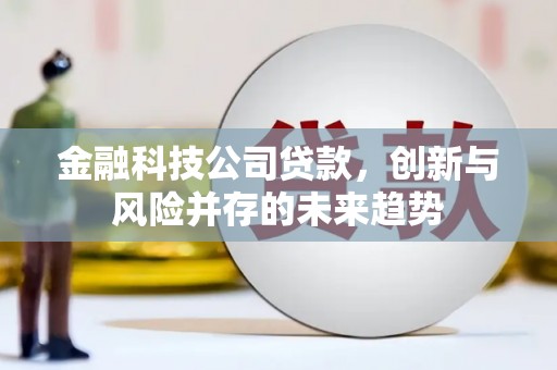 平度金融科技公司贷款，创新与风险并存的未来趋势