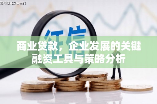 平度商业贷款，企业发展的关键融资工具与策略分析