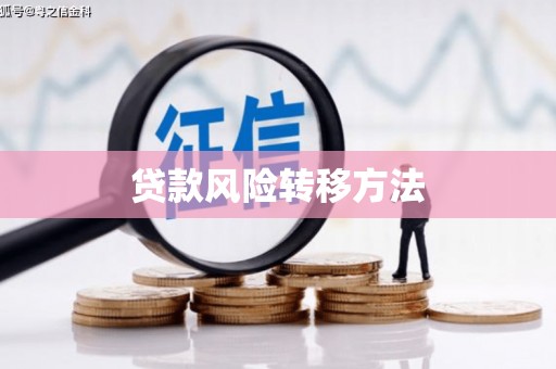 平度贷款风险转移方法