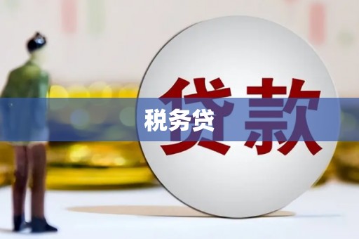 平度税务贷