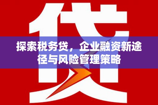 平度探索税务贷，企业融资新途径与风险管理策略