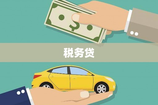 平度税务贷