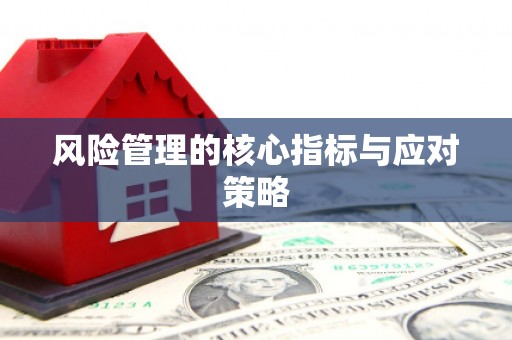 平度风险管理的核心指标与应对策略