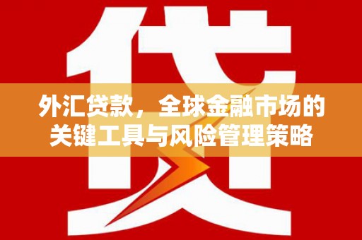 平度外汇贷款，全球金融市场的关键工具与风险管理策略