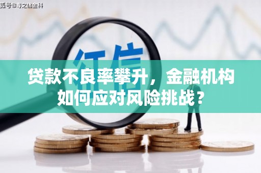 平度贷款不良率攀升，金融机构如何应对风险挑战？