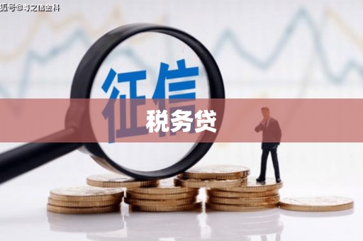 平度税务贷