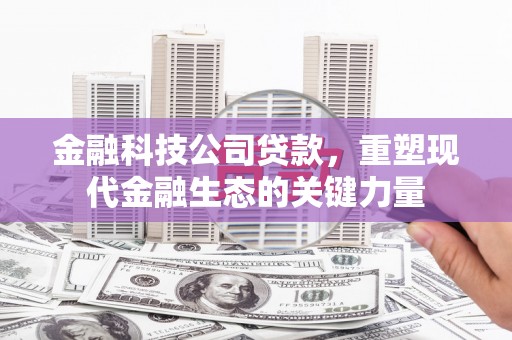 平度金融科技公司贷款，重塑现代金融生态的关键力量