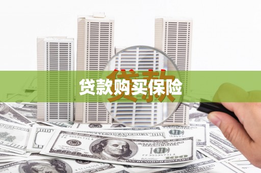 平度贷款购买保险