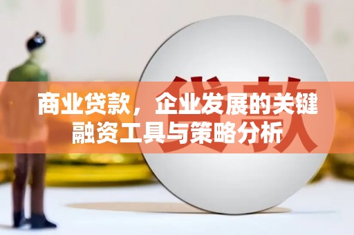 平度商业贷款，企业发展的关键融资工具与策略分析