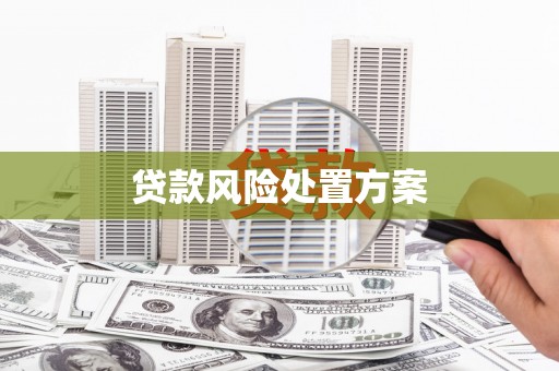 平度贷款风险处置方案