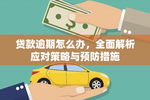 平度贷款逾期怎么办，全面解析应对策略与预防措施
