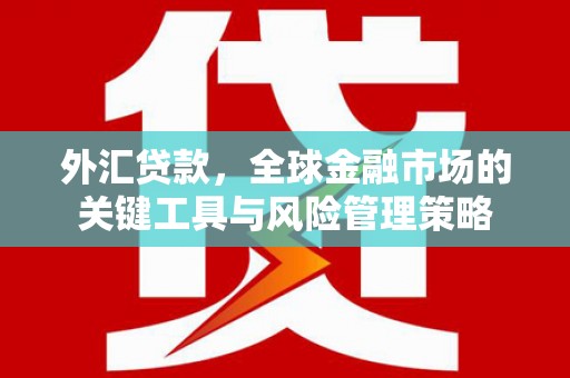 平度外汇贷款，全球金融市场的关键工具与风险管理策略