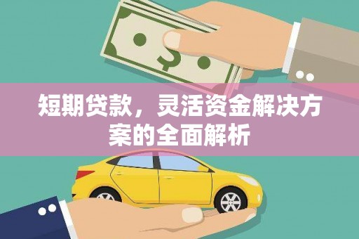 平度短期贷款，灵活资金解决方案的全面解析