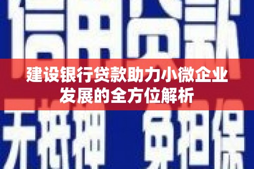 平度建设银行贷款助力小微企业发展的全方位解析