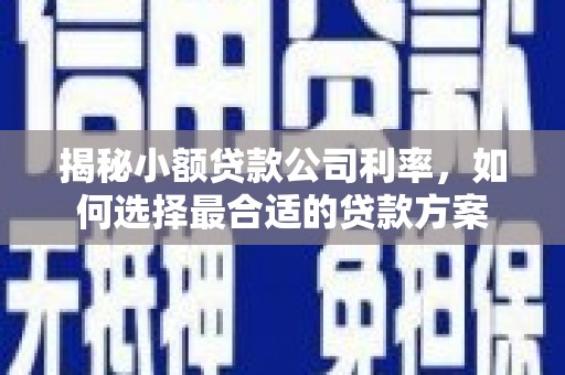平度揭秘小额贷款公司利率，如何选择最合适的贷款方案