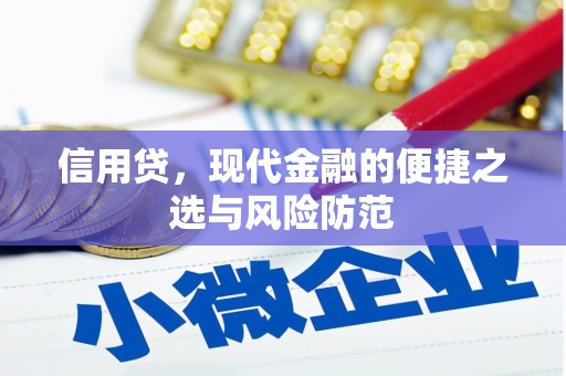平度信用贷，现代金融的便捷之选与风险防范